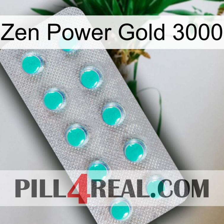 Zen Power Gold 3000 28